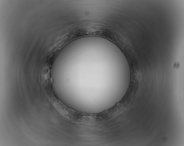 X0000111450914200907201045