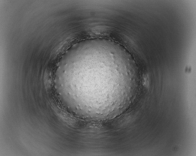 X0000111450915200907201045