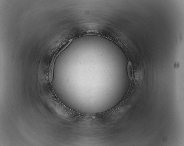 X0000111450916200907201045
