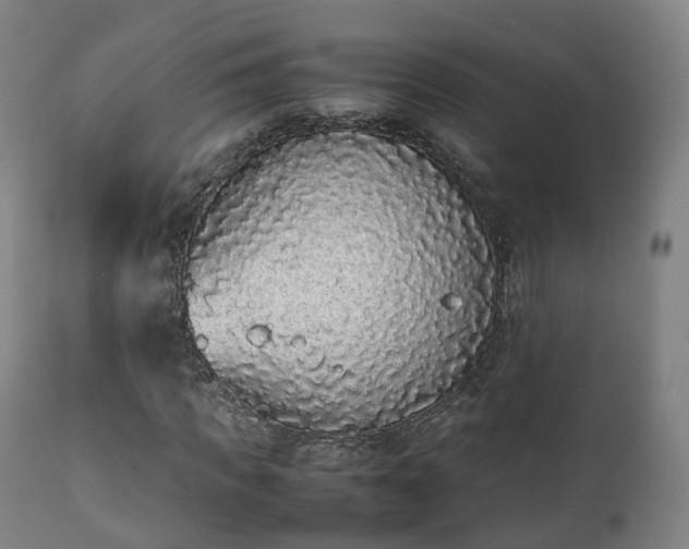 X0000111450917200907201045