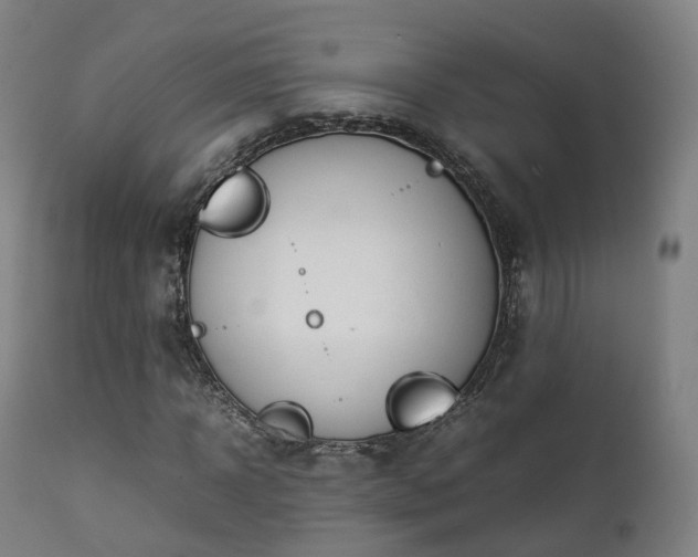 X0000111450918200907201045
