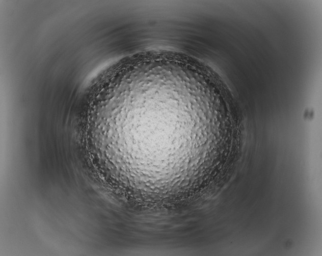 X0000111450919200907201045