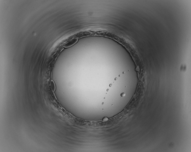X0000111450920200907201045
