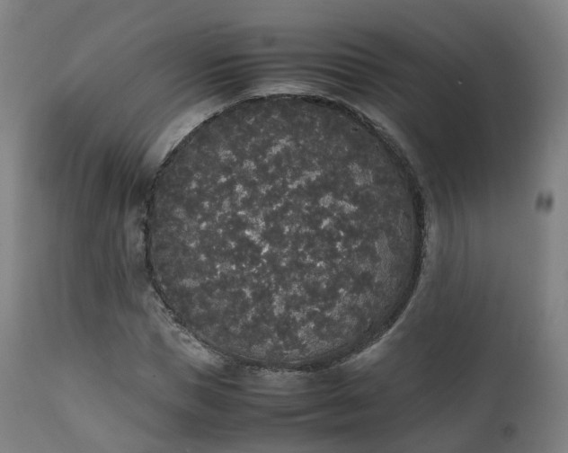 X0000111450921200907201045