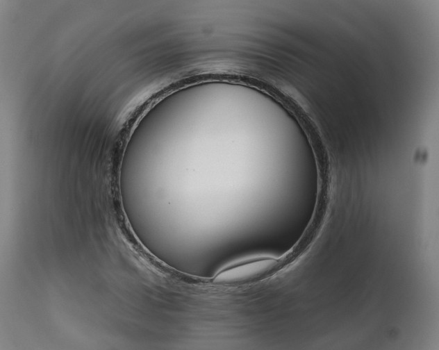 X0000111450922200907201045