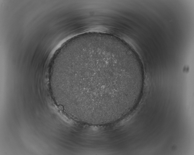 X0000111450923200907201045
