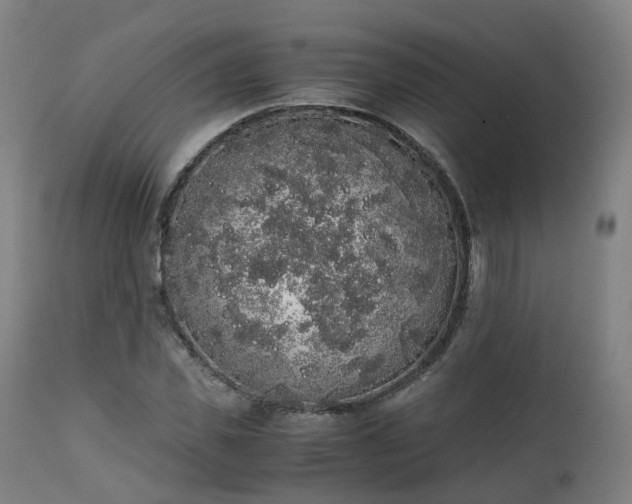 X0000111450925200907201045
