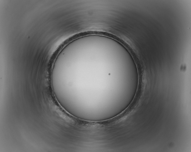 X0000111450926200907201045