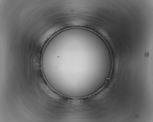 X0000111450930200907201045