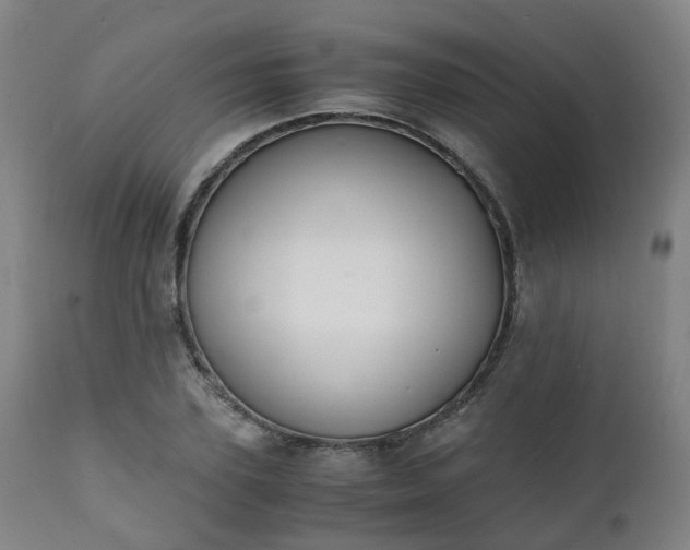X0000111450931200907201045