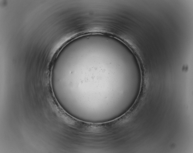 X0000111450933200907201045