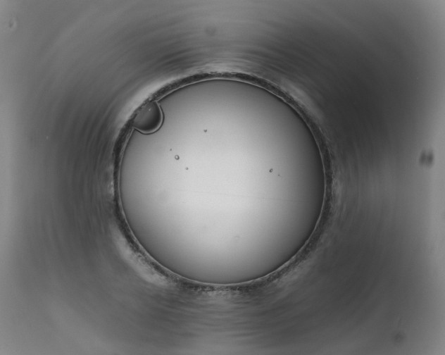 X0000111450934200907201045