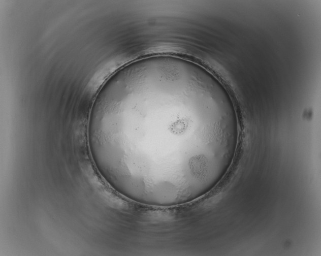 X0000111450937200907201046