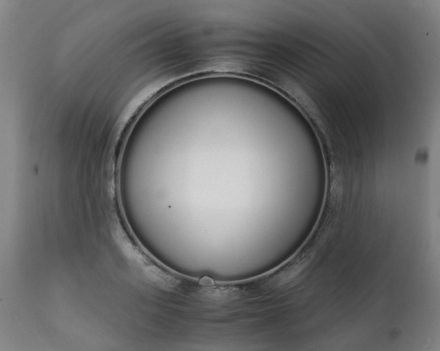 X0000111450939200907201046