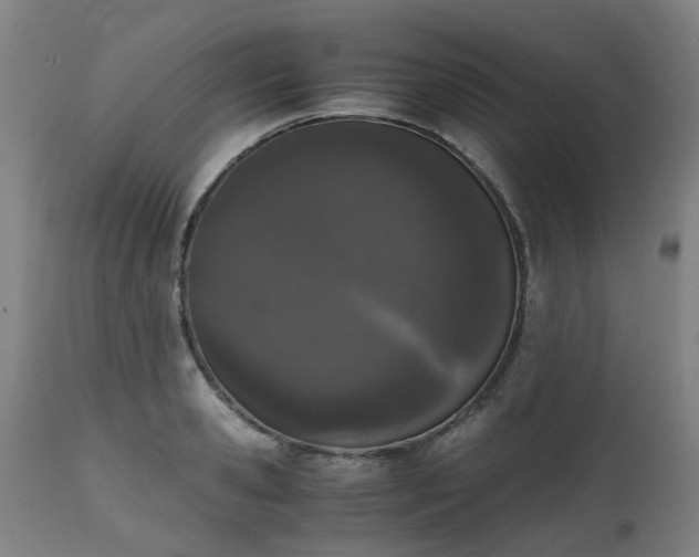 X0000111450941200907201046