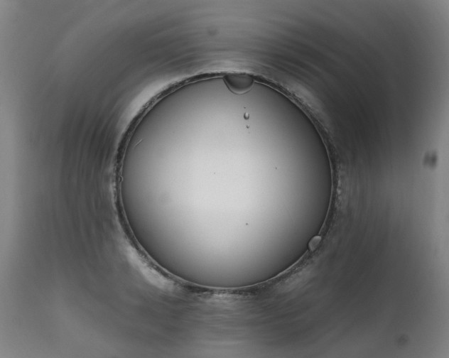 X0000111450942200907201046