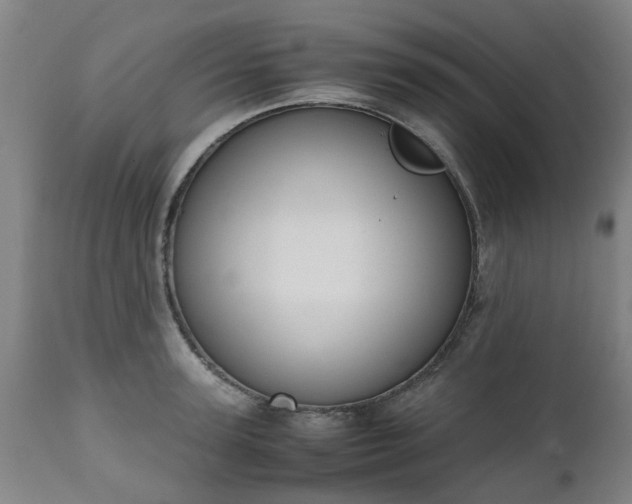 X0000111450947200907201046