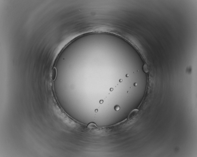 X0000111450948200907201046