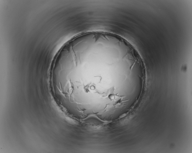 X0000111450949200907201046