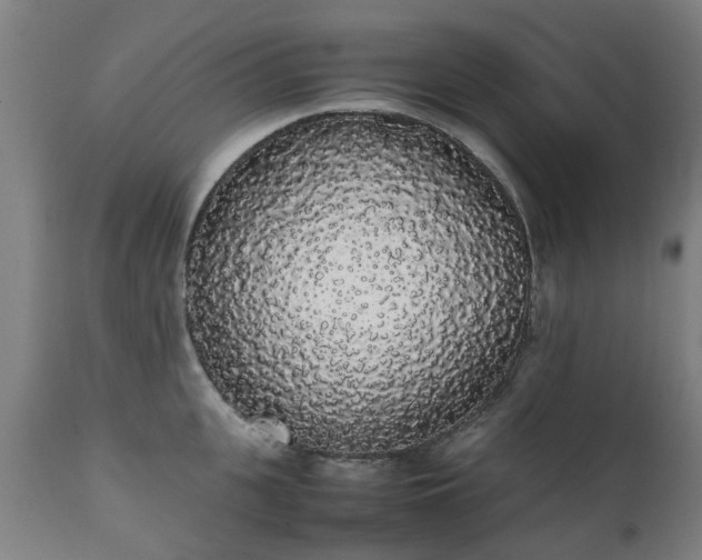 X0000111450951200907201046