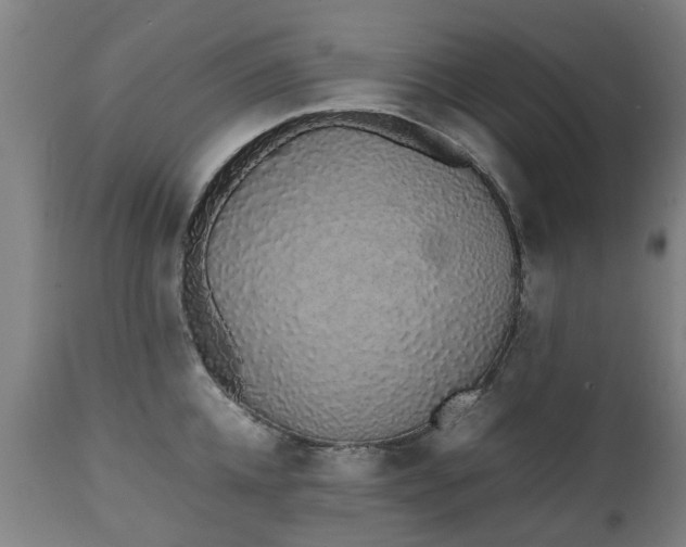 X0000111450952200907201046
