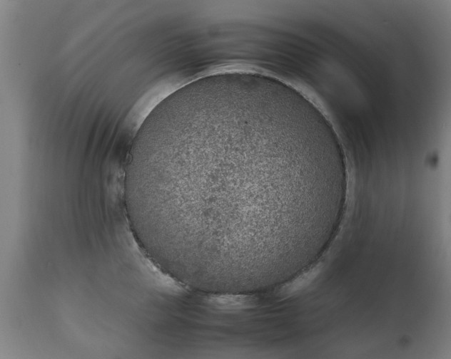 X0000111450953200907201046