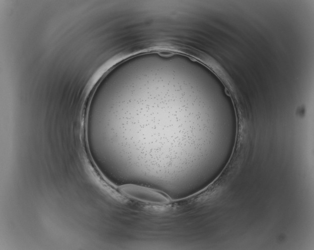 X0000111450955200907201046
