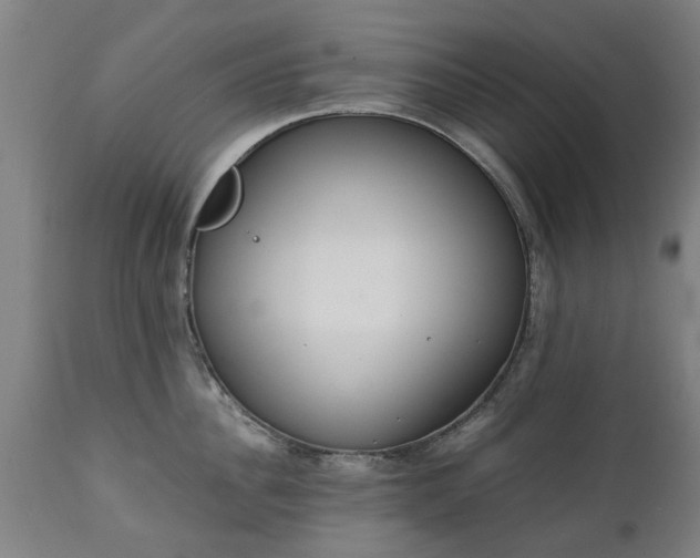 X0000111450956200907201046