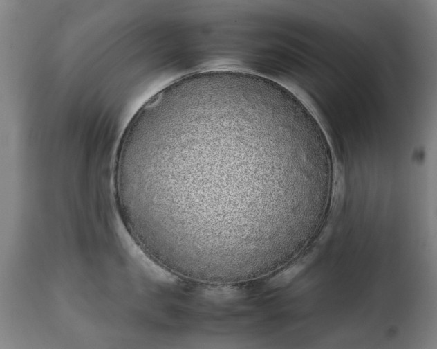 X0000111450957200907201046