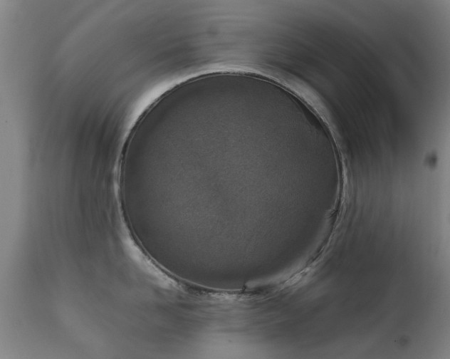 X0000111450958200907201046