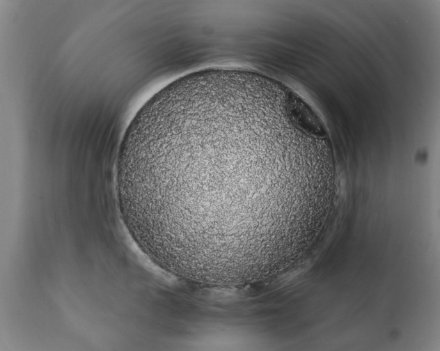 X0000111450959200907201046