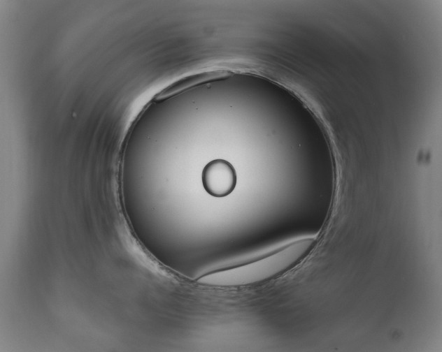 X0000111450960200907201046