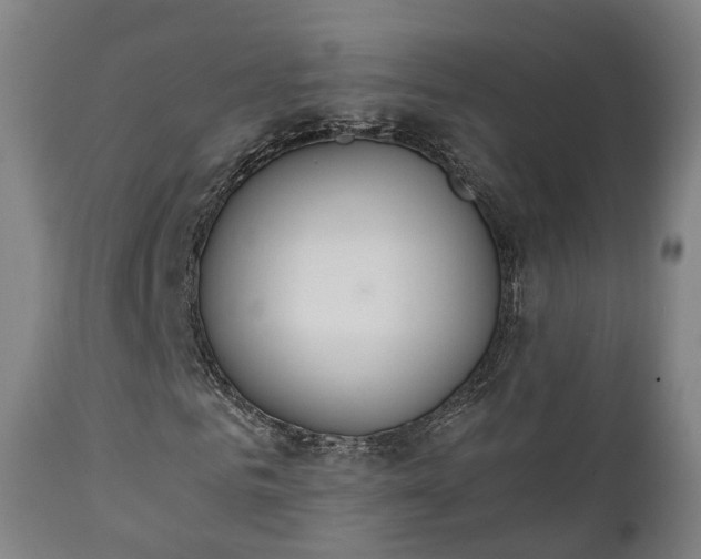 X0000111450961200907201045