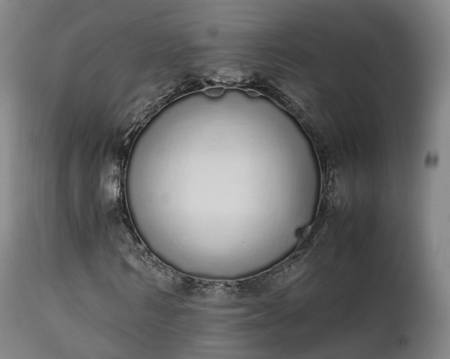 X0000111450962200907201045