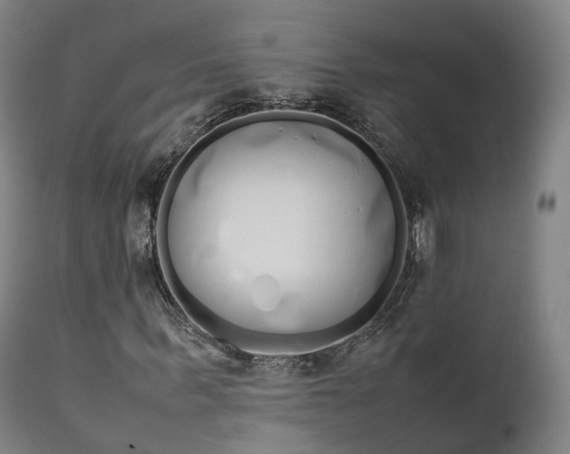 X0000111450963200907201045