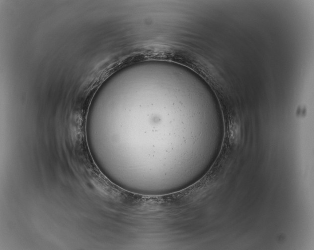 X0000111450964200907201045