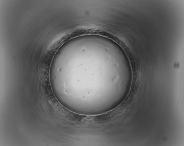 X0000111450967200907201045
