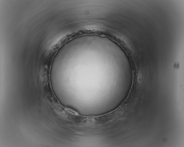 X0000111450968200907201045