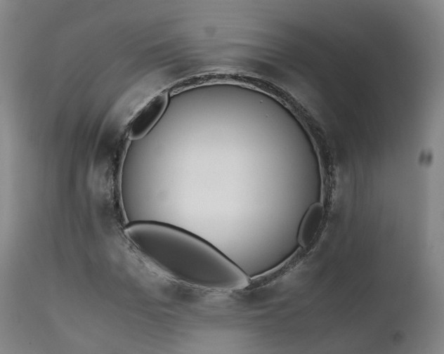X0000111450969200907201045