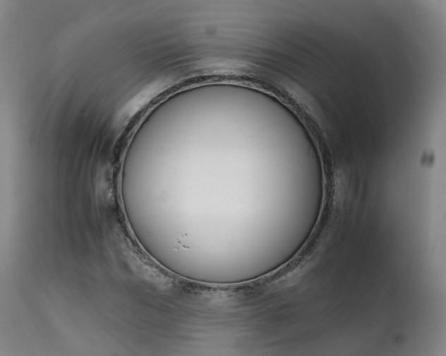 X0000111450970200907201045