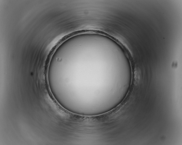 X0000111450972200907201045