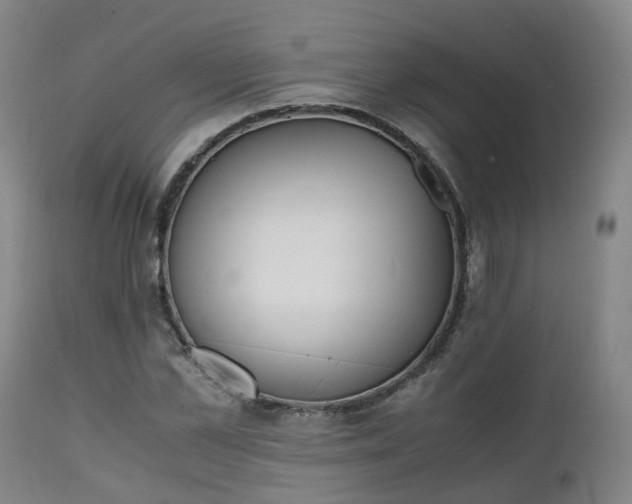 X0000111450973200907201045