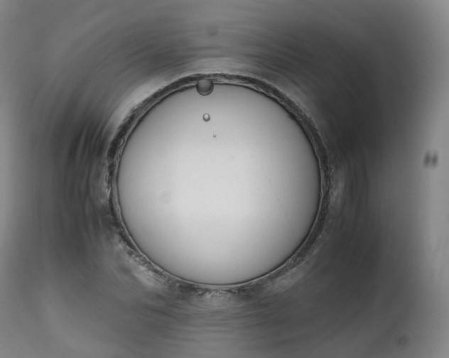 X0000111450974200907201045