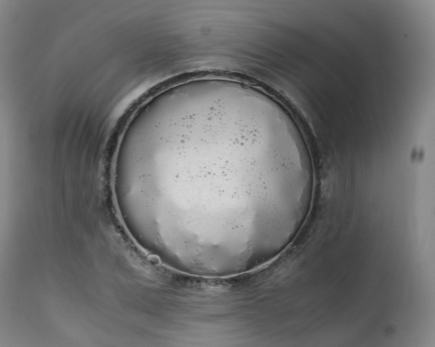 X0000111450975200907201045