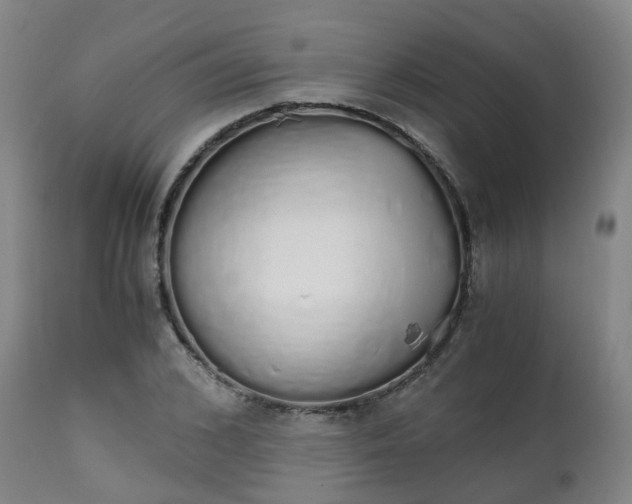 X0000111450976200907201045