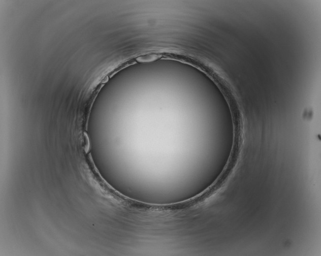 X0000111450977200907201045