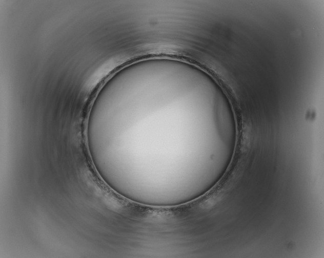 X0000111450978200907201045