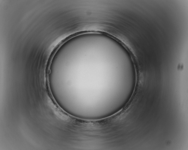 X0000111450980200907201045
