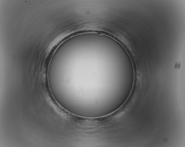 X0000111450981200907201045