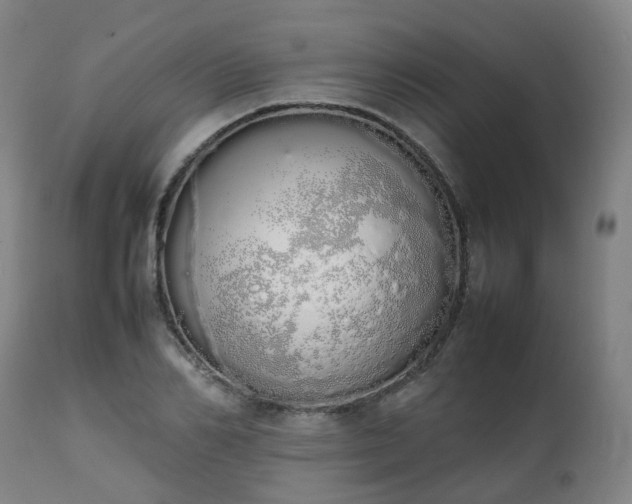 X0000111450982200907201045